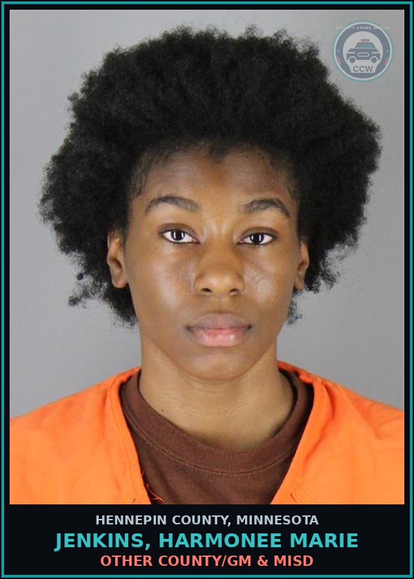 Booking mugshot of JENKINS, HARMONEE MARIE in Hennepin County