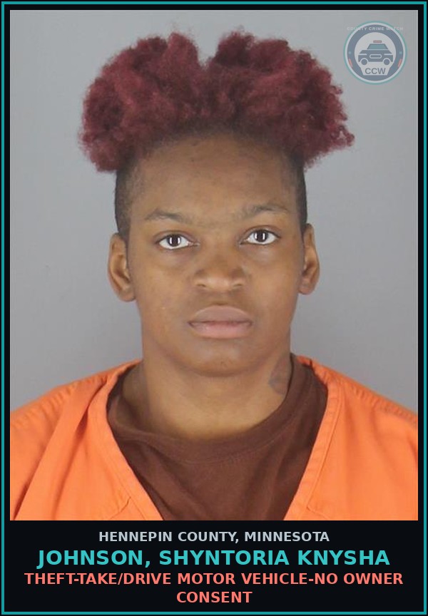 Booking mugshot of JOHNSON, SHYNTORIA KNYSHA in Hennepin County