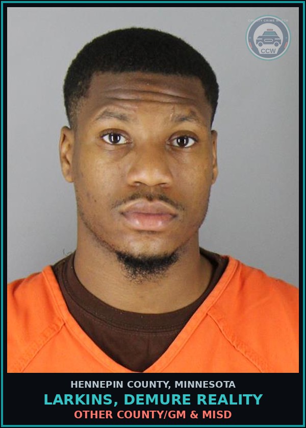 Booking mugshot of LARKINS, DEMURE REALITY in Hennepin County