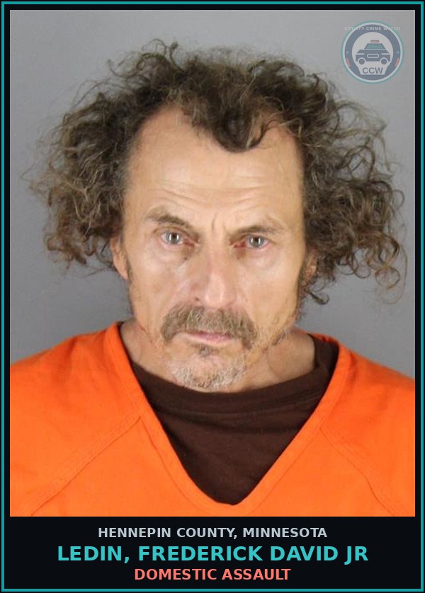 Booking mugshot of LEDIN, FREDERICK DAVID JR in Hennepin County
