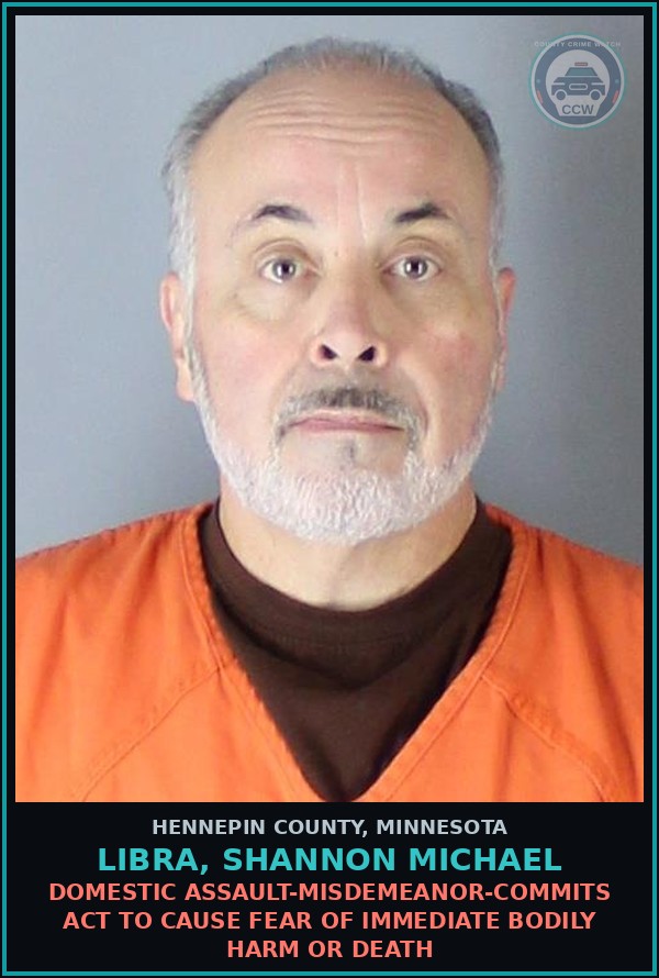 Booking mugshot of LIBRA, SHANNON MICHAEL in Hennepin County