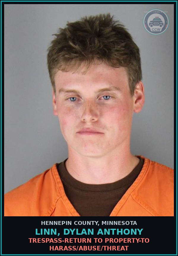 Booking mugshot of LINN, DYLAN ANTHONY in Hennepin County