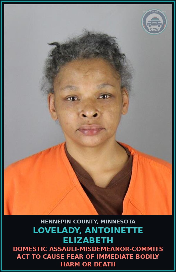 Booking mugshot of LOVELADY, ANTOINETTE ELIZABETH in Hennepin County