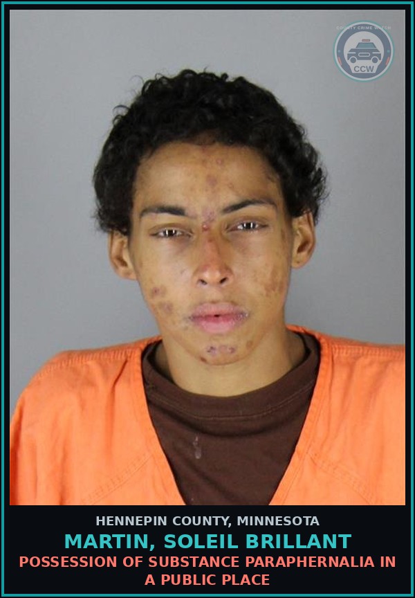 Booking mugshot of MARTIN, SOLEIL BRILLANT in Hennepin County
