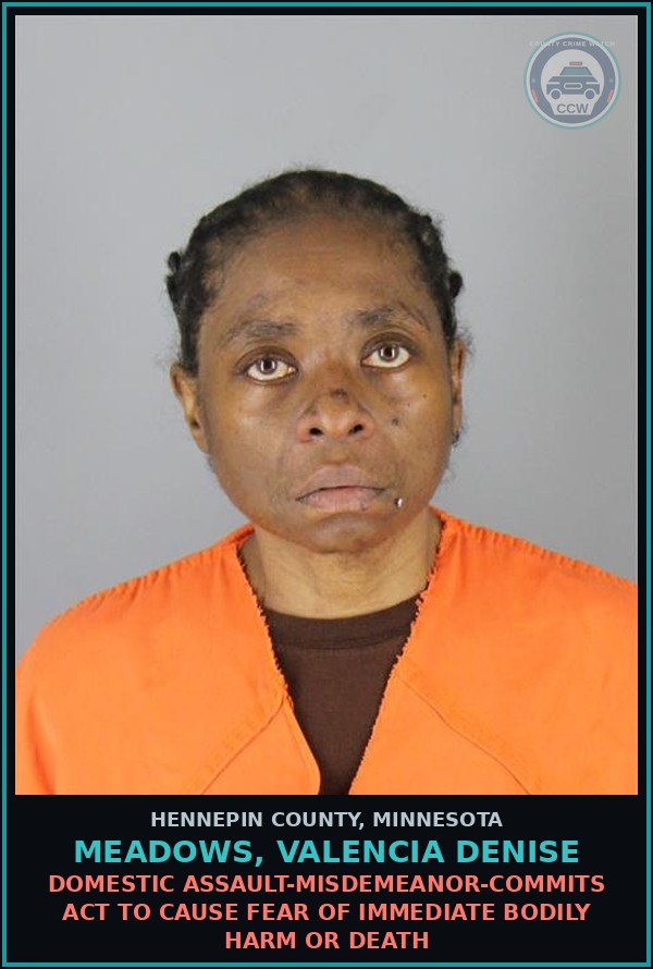Booking mugshot of MEADOWS, VALENCIA DENISE in Hennepin County