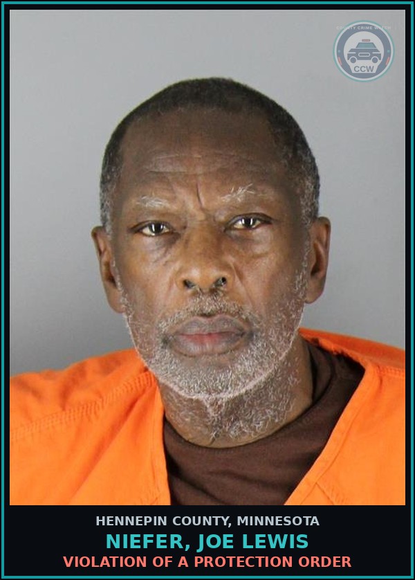 Booking mugshot of NIEFER, JOE LEWIS in Hennepin County