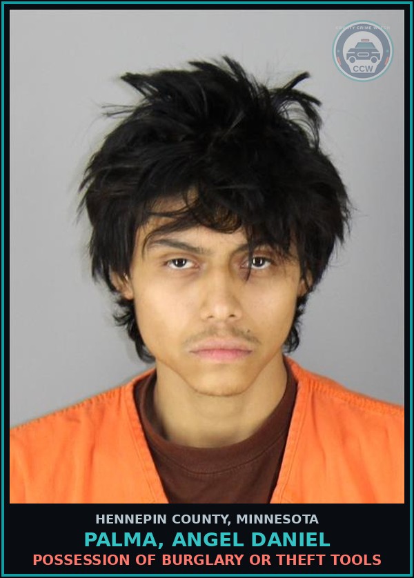 Booking mugshot of PALMA, ANGEL DANIEL in Hennepin County