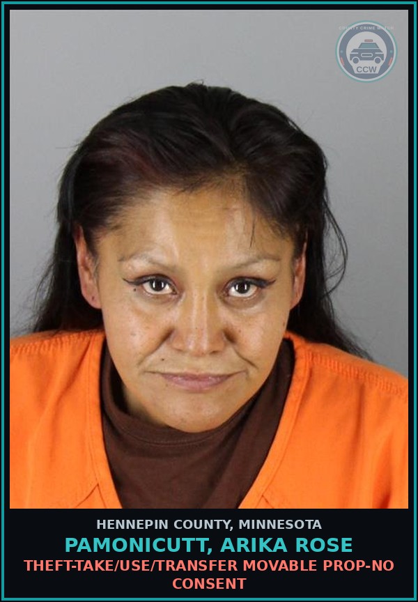 Booking mugshot of PAMONICUTT, ARIKA ROSE in Hennepin County