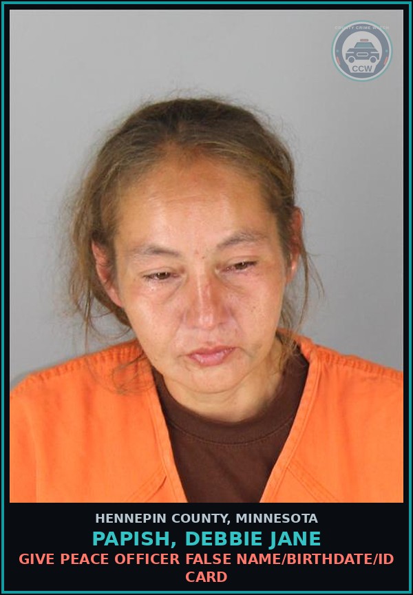 Booking mugshot of PAPISH, DEBBIE JANE in Hennepin County