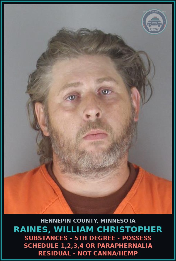 Booking mugshot of RAINES, WILLIAM CHRISTOPHER in Hennepin County