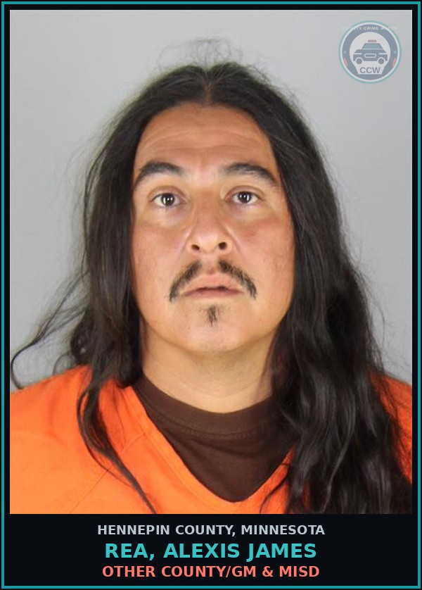Booking mugshot of REA, ALEXIS JAMES in Hennepin County