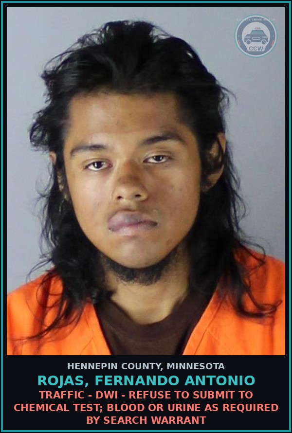 Booking mugshot of ROJAS, FERNANDO ANTONIO in Hennepin County
