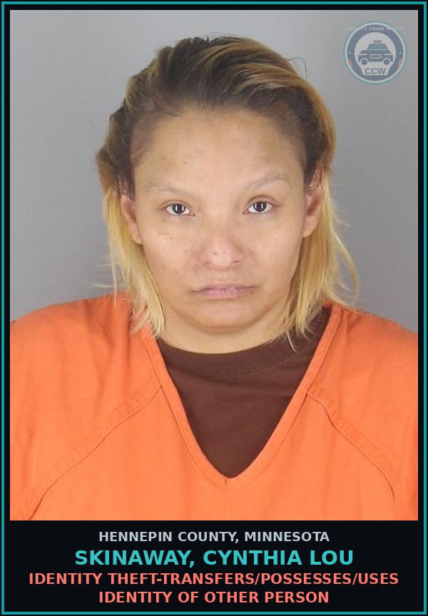 Booking mugshot of SKINAWAY, CYNTHIA LOU in Hennepin County