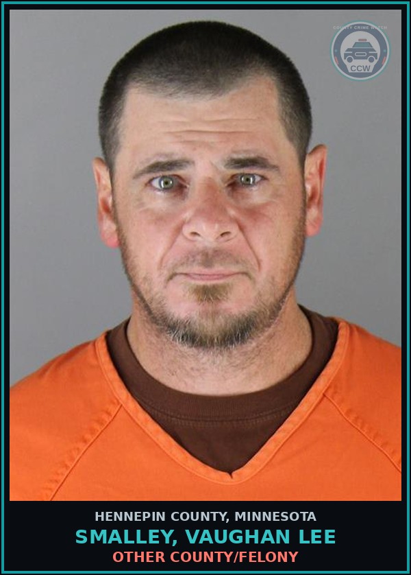 Booking mugshot of SMALLEY, VAUGHAN LEE in Hennepin County