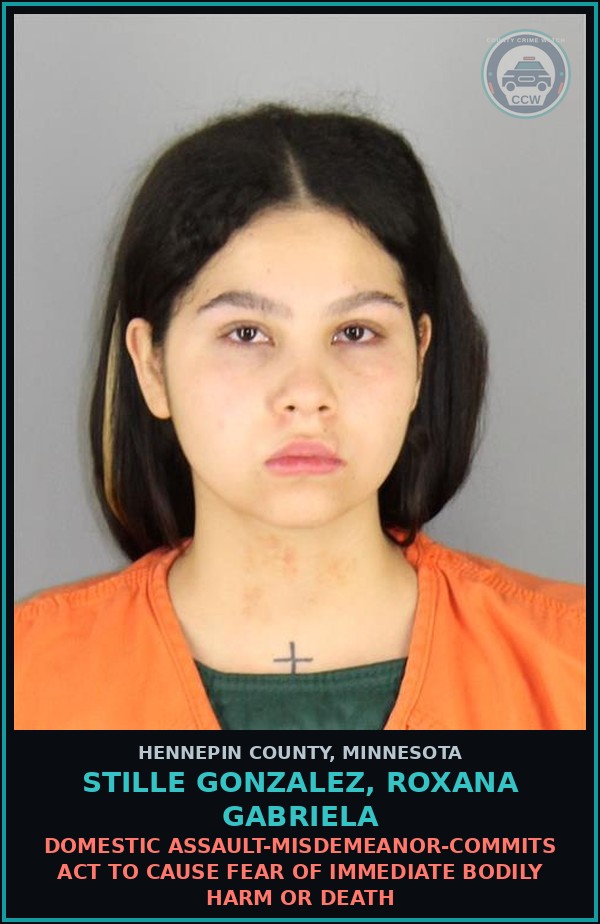 Booking mugshot of STILLE GONZALEZ, ROXANA GABRIELA in Hennepin County