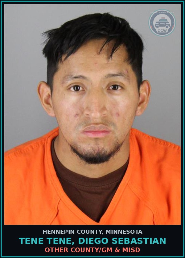 Booking mugshot of TENE TENE, DIEGO SEBASTIAN in Hennepin County