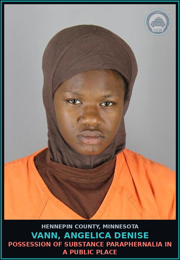 Booking mugshot of VANN, ANGELICA DENISE in Hennepin County