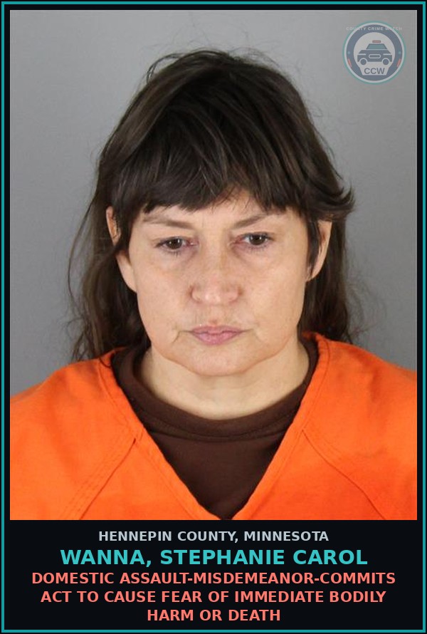 Booking mugshot of WANNA, STEPHANIE CAROL in Hennepin County