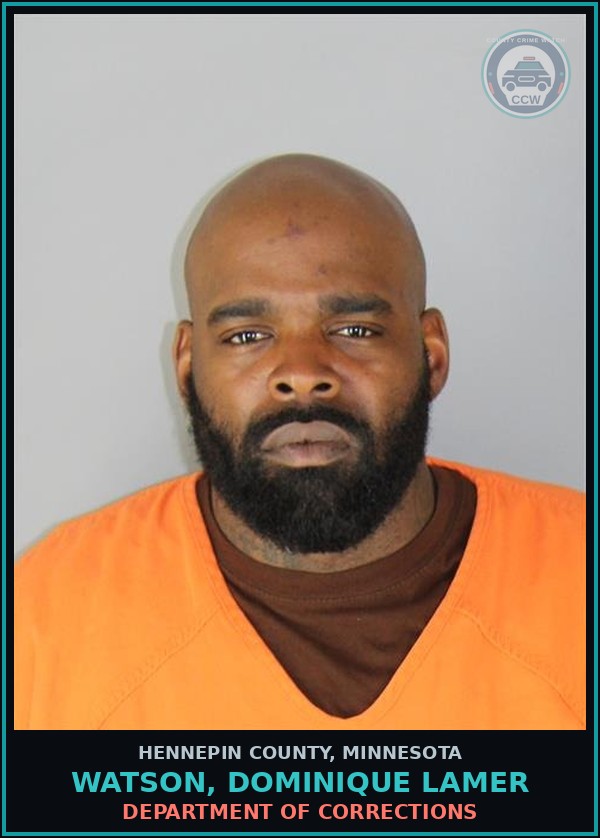 Booking mugshot of WATSON, DOMINIQUE LAMER in Hennepin County