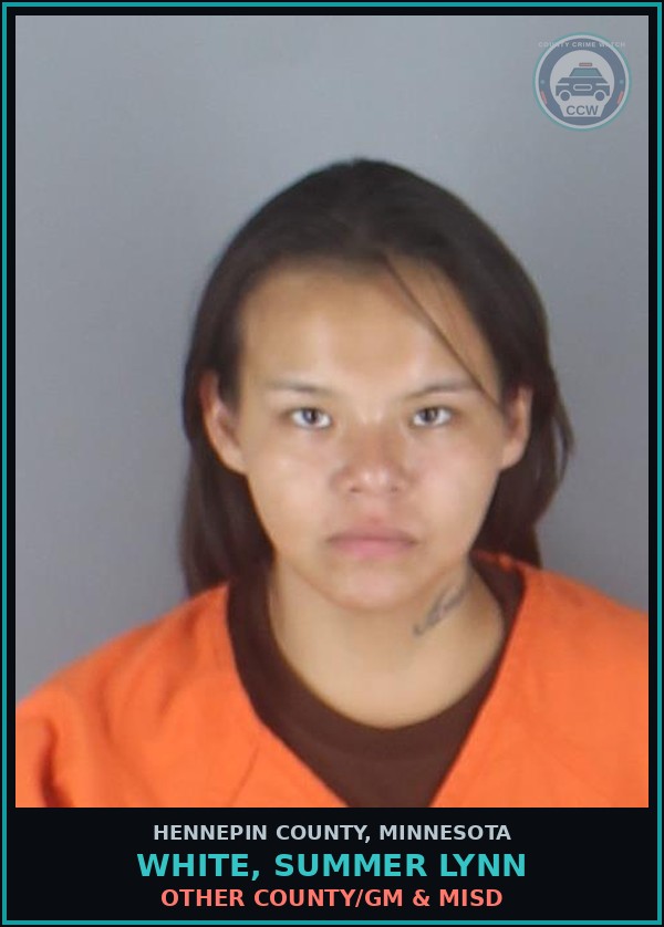 Booking mugshot of WHITE, SUMMER LYNN in Hennepin County