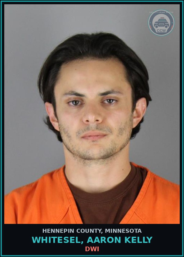 Booking mugshot of WHITESEL, AARON KELLY in Hennepin County