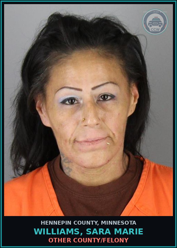 Booking mugshot of WILLIAMS, SARA MARIE in Hennepin County