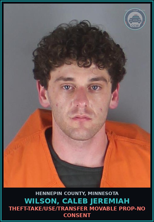 Booking mugshot of WILSON, CALEB JEREMIAH in Hennepin County