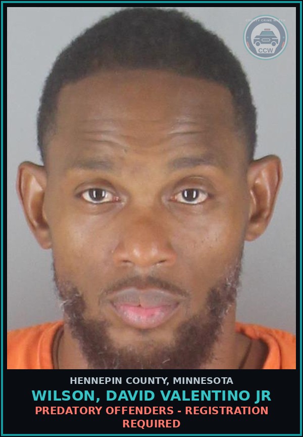 Booking mugshot of WILSON, DAVID VALENTINO JR in Hennepin County