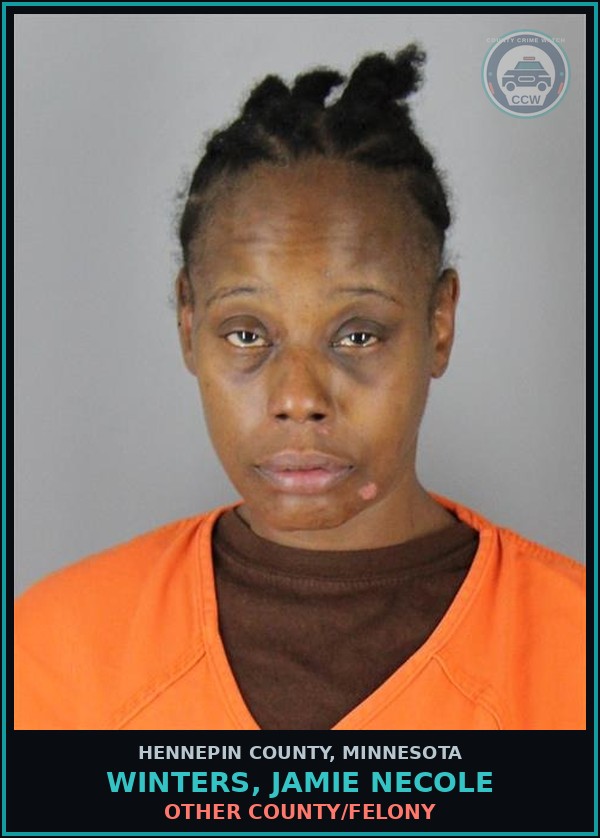 Booking mugshot of WINTERS, JAMIE NECOLE in Hennepin County