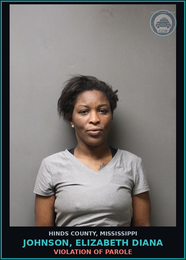 Booking mugshot of Johnson, Elizabeth Diana in Hinds County