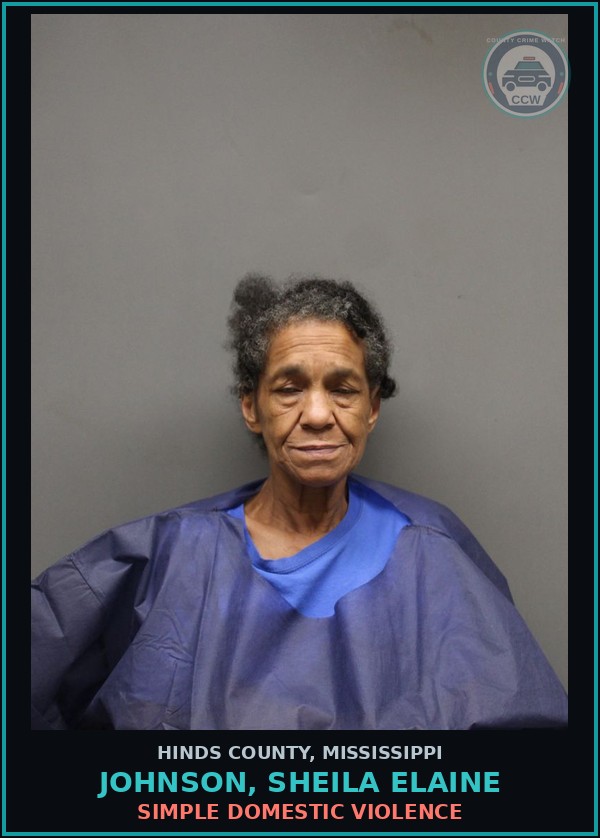 Booking mugshot of Johnson, Sheila Elaine in Hinds County