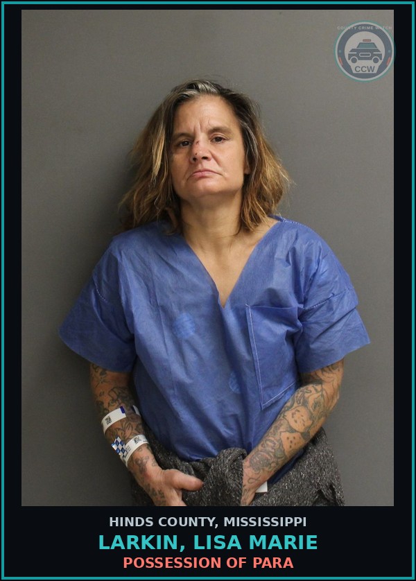 Booking mugshot of Larkin, Lisa Marie in Hinds County