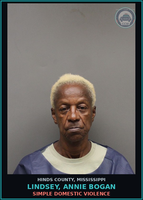 Booking mugshot of Lindsey, Annie Bogan in Hinds County