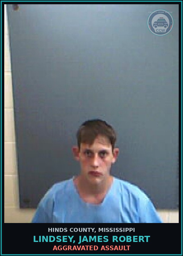 Booking mugshot of Lindsey, James Robert in Hinds County