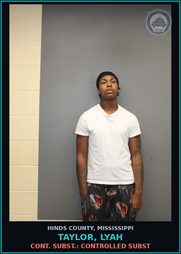 Booking mugshot of Taylor, Lyah in Hinds County