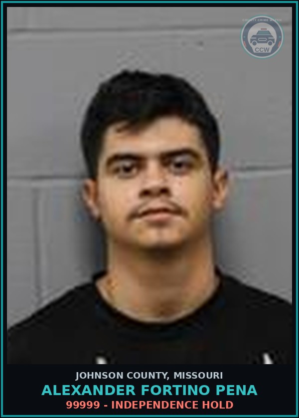 Booking mugshot of Alexander Fortino Pena in Johnson County