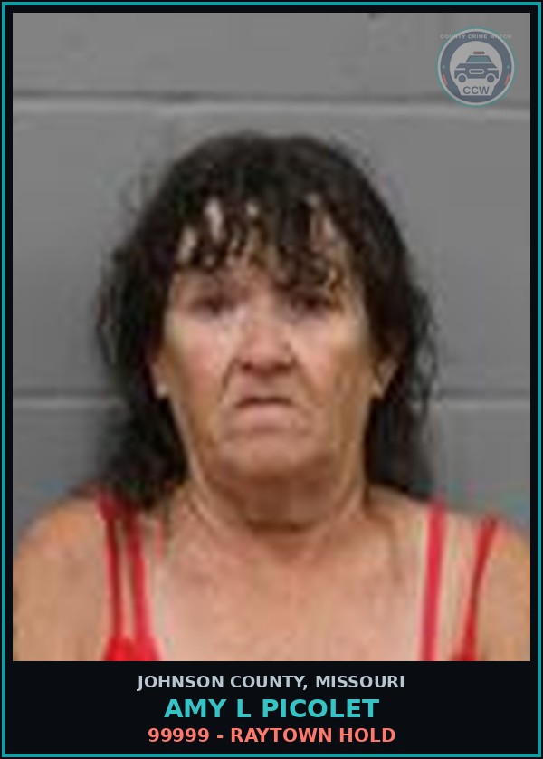 Booking mugshot of Amy L Picolet in Johnson County