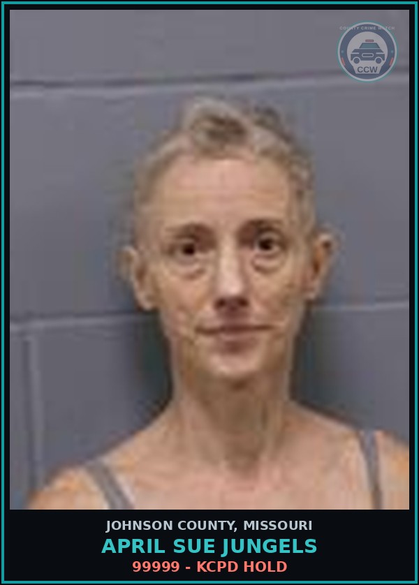 Booking mugshot of April Sue Jungels in Johnson County