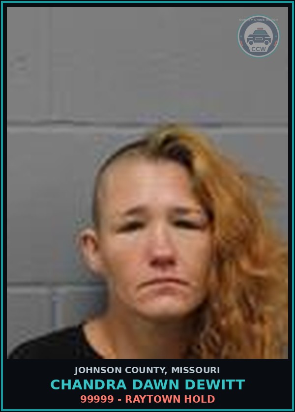 Booking mugshot of Chandra Dawn Dewitt in Johnson County