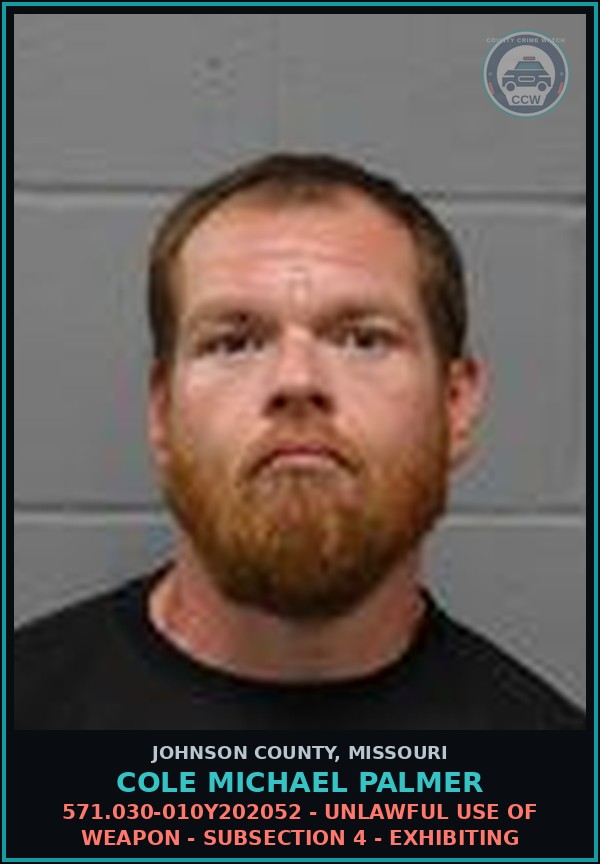 Booking mugshot of Cole Michael Palmer in Johnson County