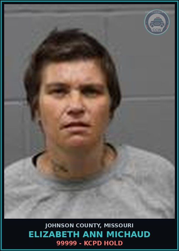 Booking mugshot of Elizabeth Ann Michaud in Johnson County