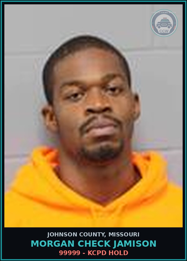 Booking mugshot of Morgan Check Jamison in Johnson County
