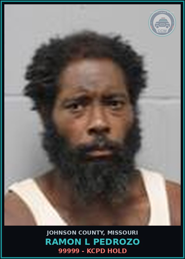 Booking mugshot of Ramon L Pedrozo in Johnson County