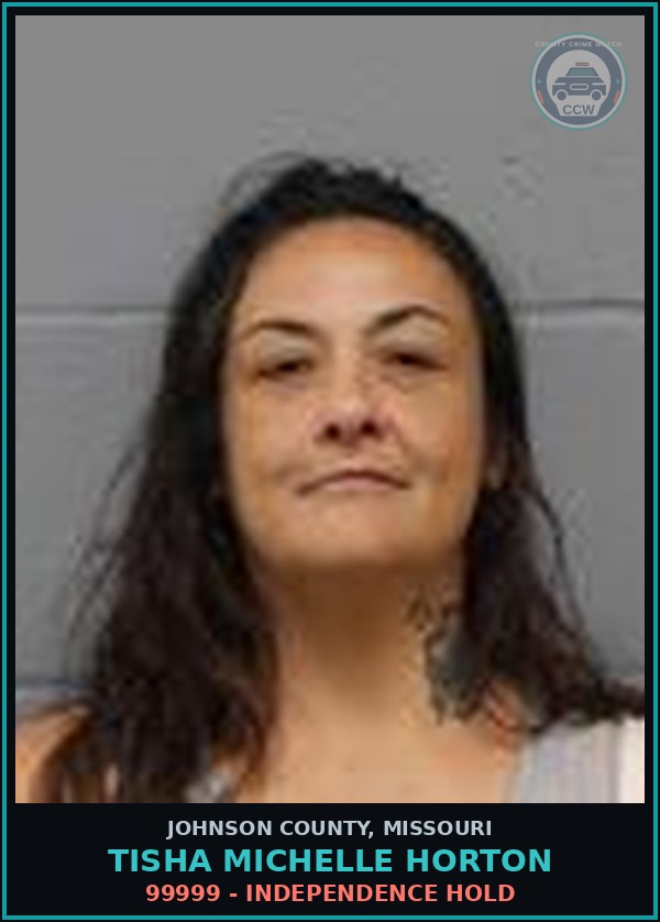 Booking mugshot of Tisha Michelle Horton in Johnson County