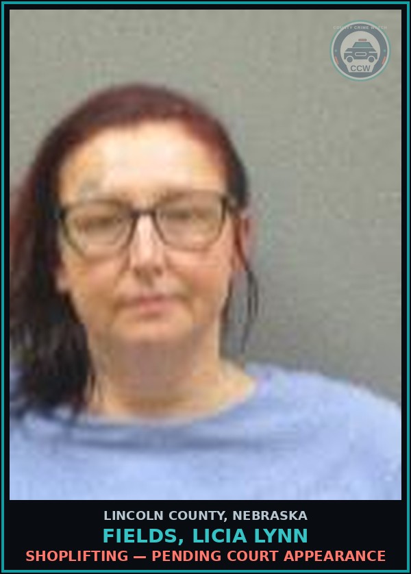 Booking mugshot of Fields, Licia Lynn in Lincoln County