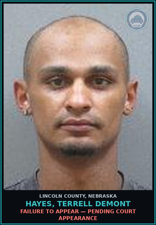 Booking mugshot of Hayes, Terrell Demont in Lincoln County