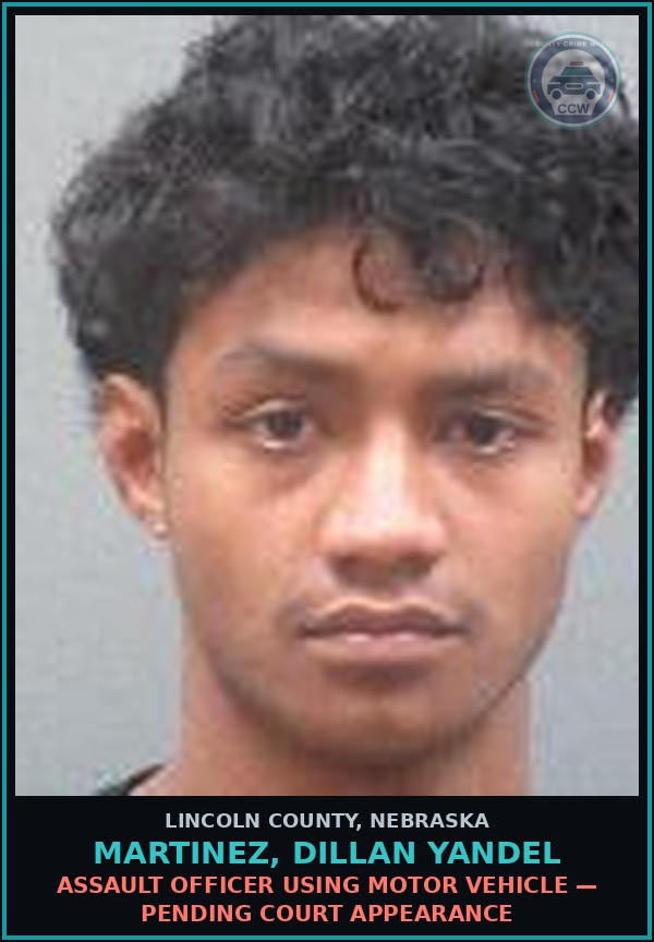 Booking mugshot of Martinez, Dillan Yandel in Lincoln County