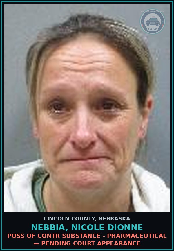 Booking mugshot of Nebbia, Nicole Dionne in Lincoln County