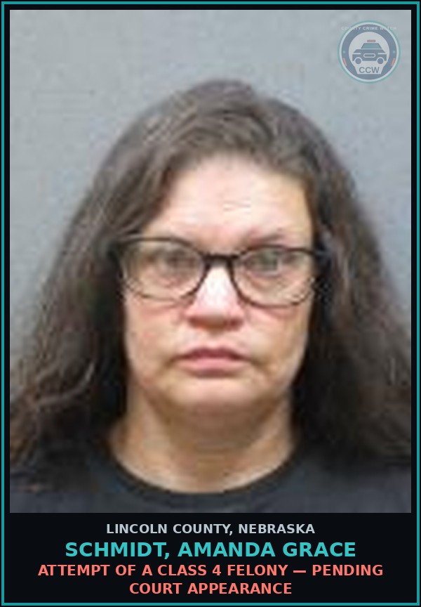 Booking mugshot of Schmidt, Amanda Grace in Lincoln County
