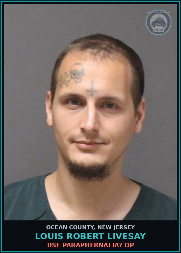 Booking mugshot of LOUIS ROBERT LIVESAY in Ocean County